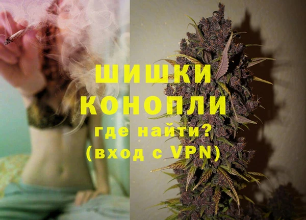 сатива Лихославль