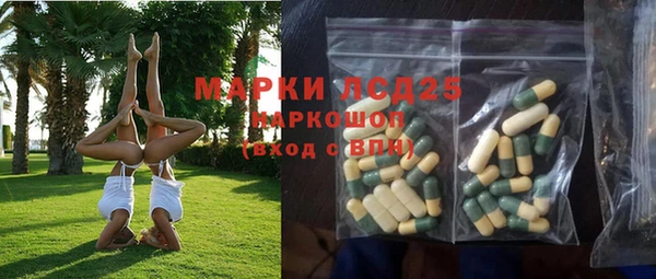 PSILOCYBIN Липки