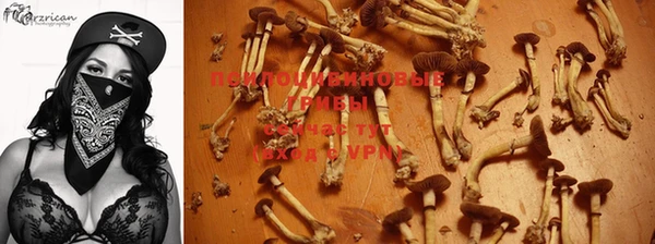 PSILOCYBIN Липки