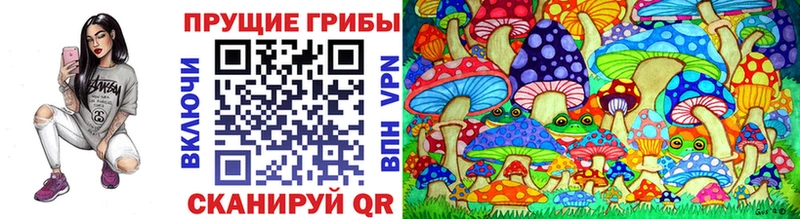 Псилоцибиновые грибы Psilocybine cubensis  даркнет сайт  Сысерть 
